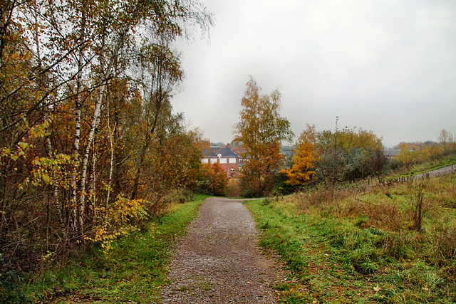 Halde Brockenscheidt, Waltrop-Brockenscheidt / 17.11.2019