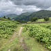 Walk Elterwater to Loughrigg View to Seat Sandal and Great Rigg