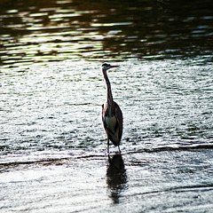 20231015_regensburg spaziergang