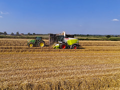 Late summer field work