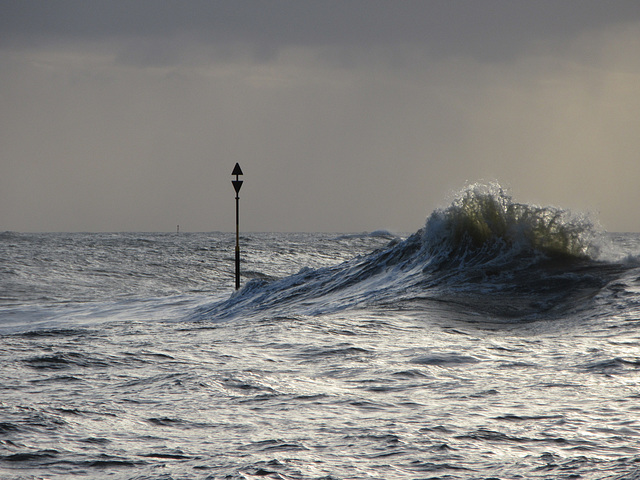 au creux de la vague