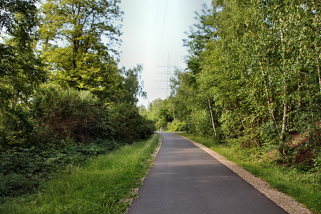 Radweg Erzbahntrasse (Wanne-Eickel) / 21.05.2018