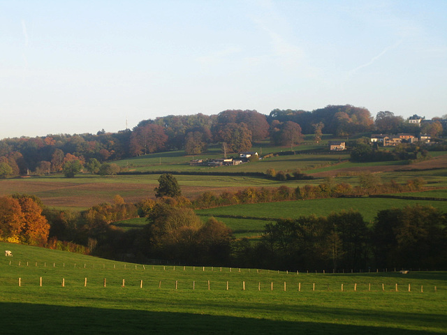 Automne dans les Ardennes