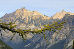 Heather Pass