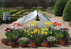 Cold frame display