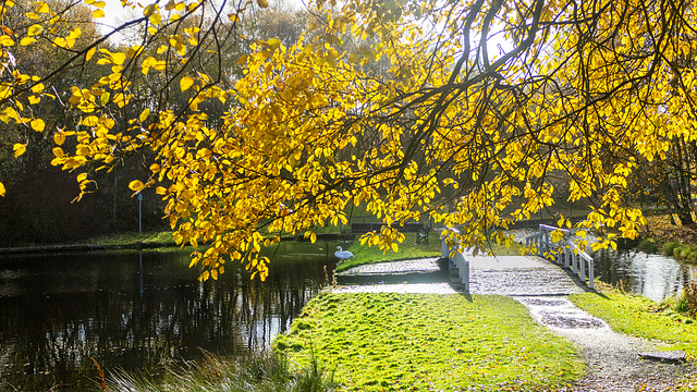 Monkland Canal, Coatbridge