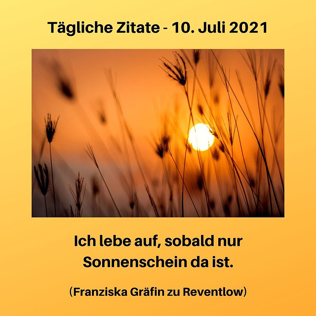 Tägliche Zitate - 10. Juli 2021