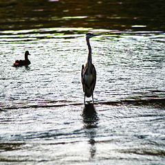 20231015_regensburg spaziergang