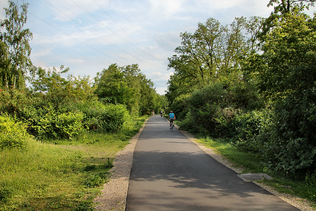 Ehem. Trasse der Erzbahn (Wanne-Eickel) / 21.05.2018