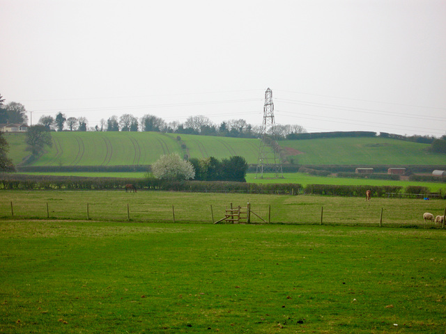 Pathway leading upwards to Dirtyfoot Lane