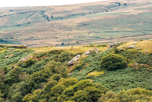 Dartmoor - 20150831