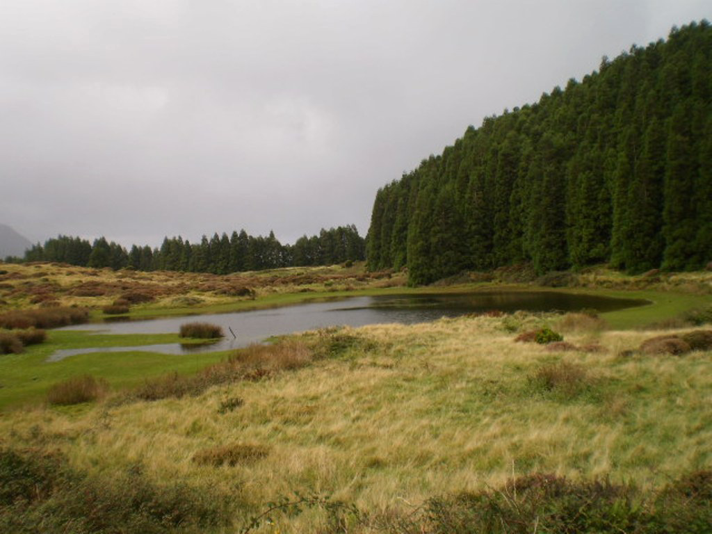 Negro's Lagoon.