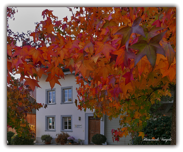 Herbstfarben