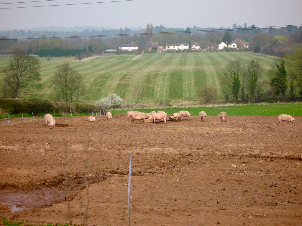 Residents of Dirtyfoot Lane