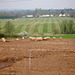 Residents of Dirtyfoot Lane