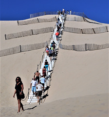 Cycling from Bordeaux Vineyards to the Atlantic Coast / The staircase to the largest shifting dune in Europe / Pila
