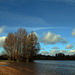 Plage de sable en bord de Loire à Jargeau .