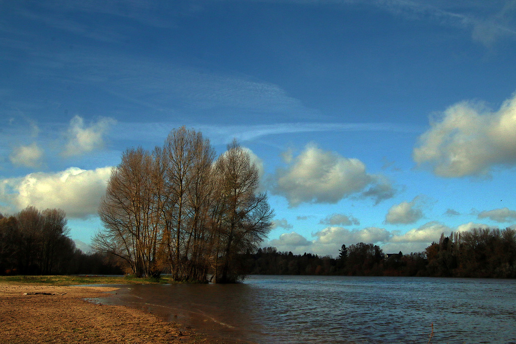 Plage de sable en bord de Loire à Jargeau .