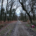 Flaesheimer Weg (Haard, Oer-Erkenschwick) / 26.12.2023