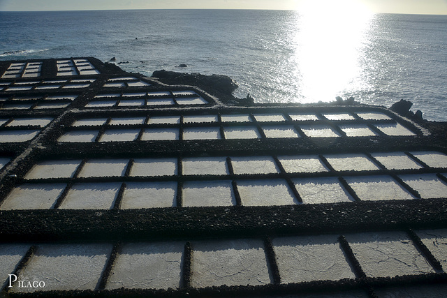 La Palma – The Garten of Salt - Salinas Teneguía ¦