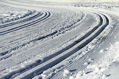 #42 - digipic - Cross-country ski tracks - 51̊ 0points