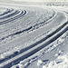 #42 - digipic - Cross-country ski tracks - 51̊ 0points