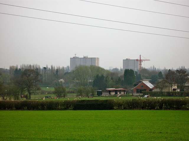 Looking back towards Merry Hill