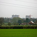 Looking back towards Merry Hill