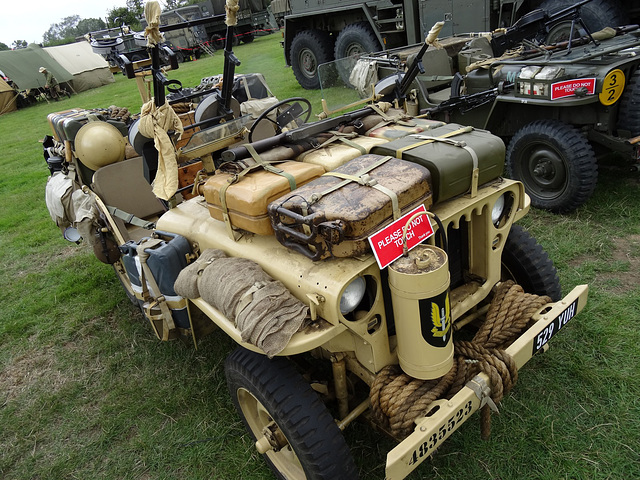 cohaug102019 (1247)