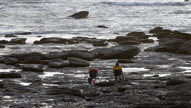 La pêche à pied