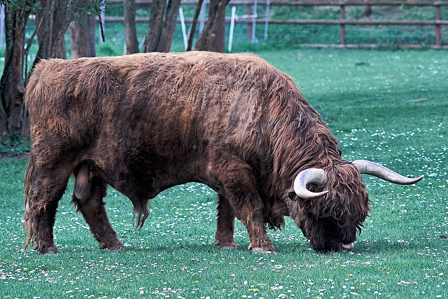 Tierpark Straubing