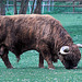 Tierpark Straubing