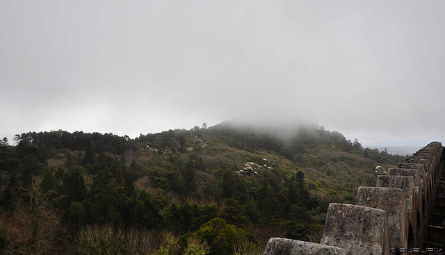 Sintra – der Nebel kommt - beim Palácio da Pena (© Buelipix)