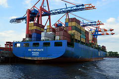 MSC FORTUNATE im Containerhafen Waltershof