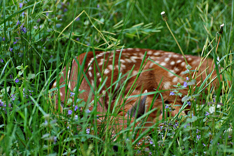 First morning of life