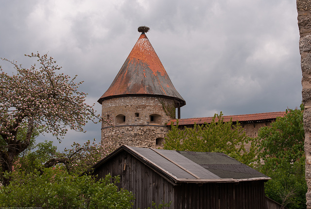 Burg Hohenberg