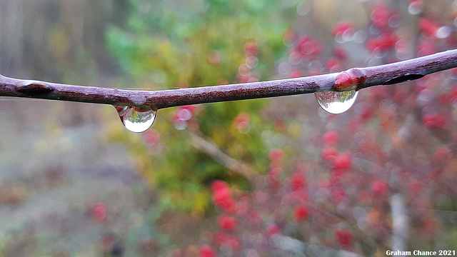 Droplets