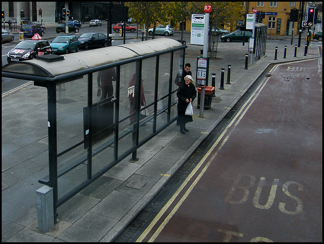 Frideswide bus shelters