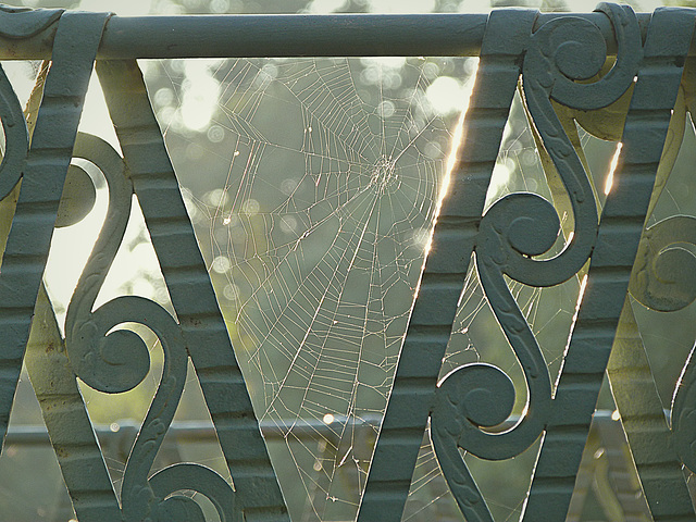Spinnennetz auf dem großen Balkon