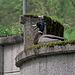 Tierpark Straubing