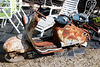 A vendre scooter , restauration terminée , état concours . . .