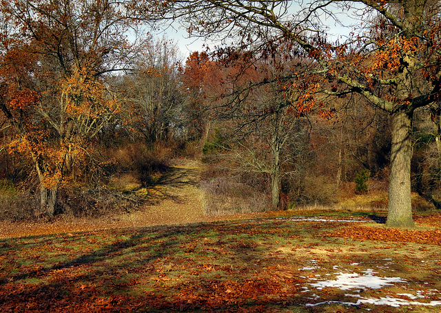 A magical path through nature.