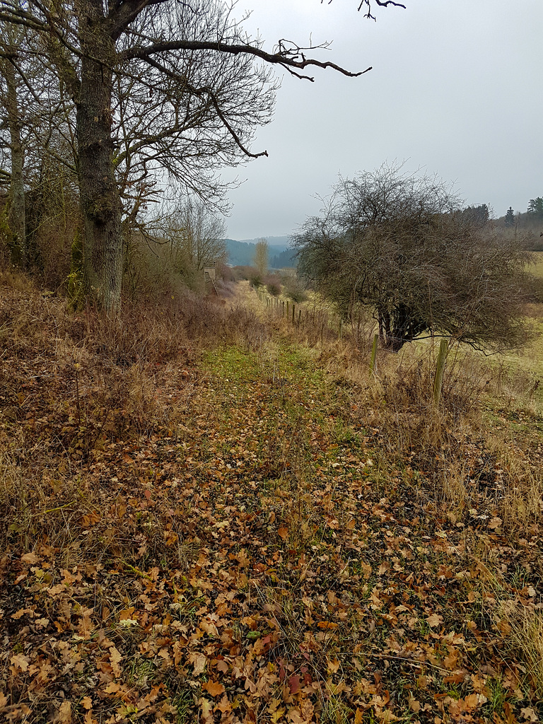 Blankenheim Uedelhoven