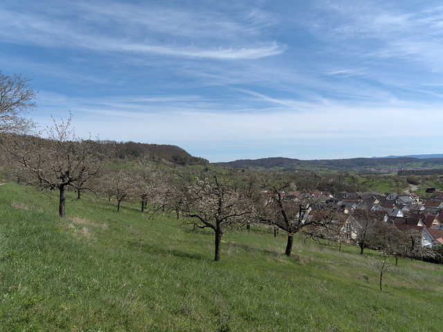 Schönbuchspitz