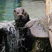 Tierpark Straubing