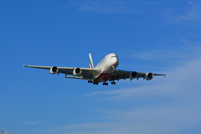 Big bird Big bird