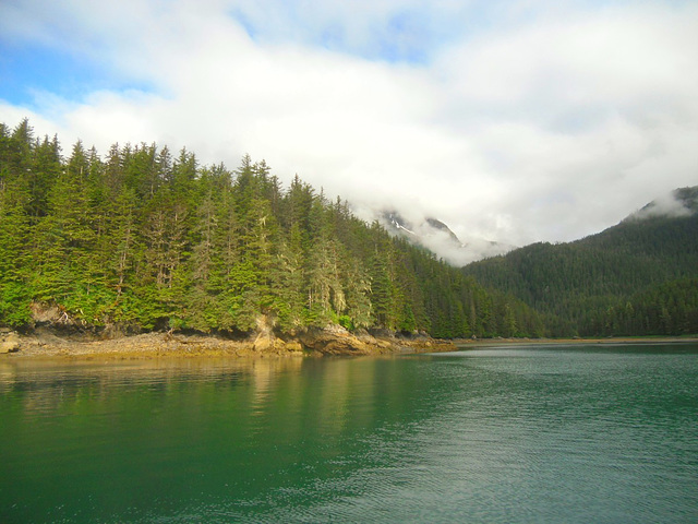 Sawmill Bay