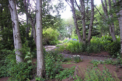 Akureyri Botanic Gardens