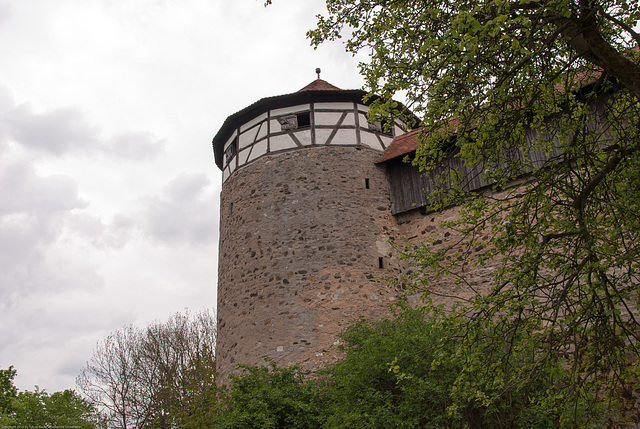 Burg Hohenberg