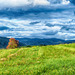 Landscape in the Black Forrest - Zell am Harmersbach